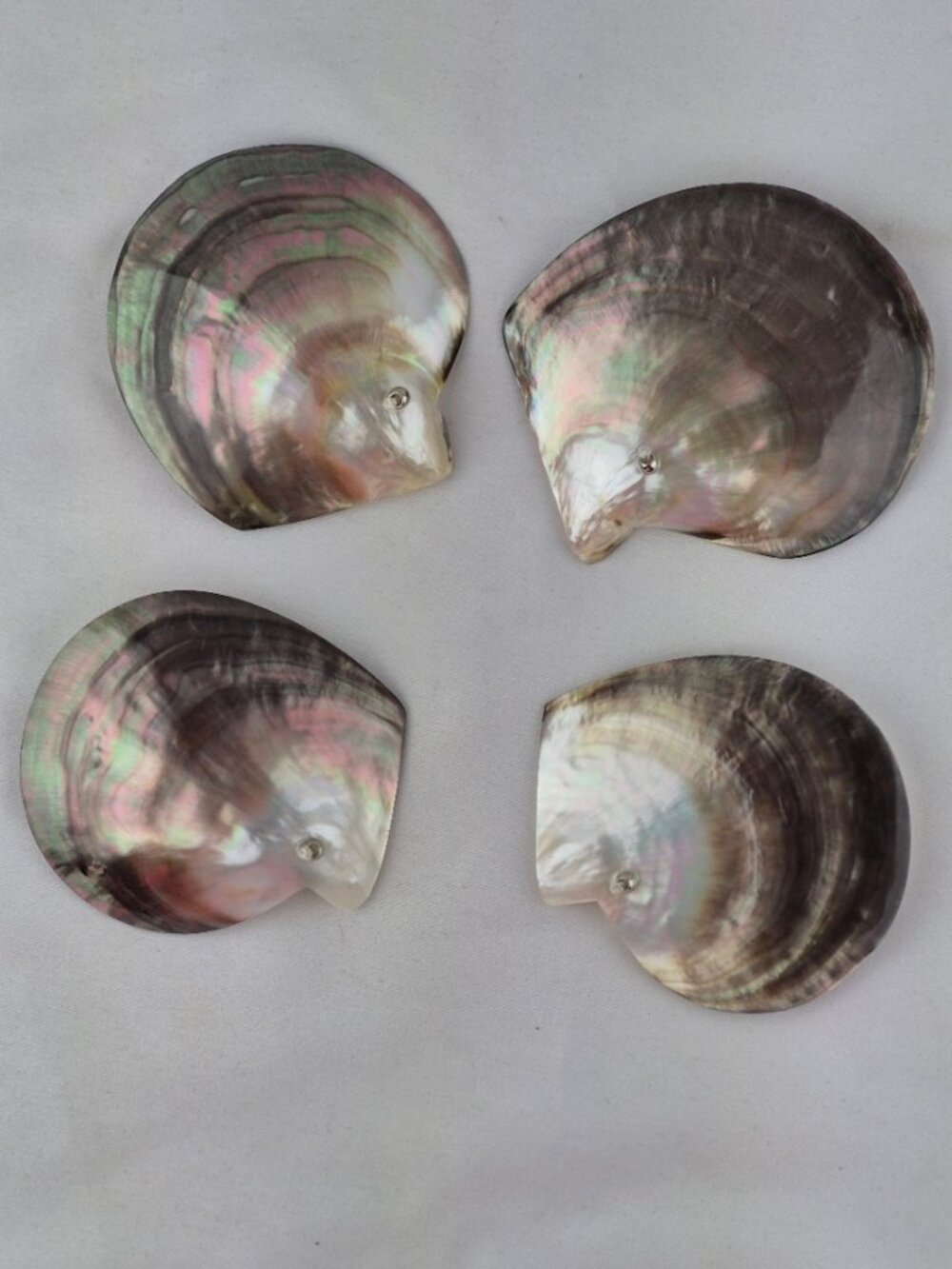 Tahitian Blacklip Mother of Pearl Oyster Shell Napkin Rings Set of 4